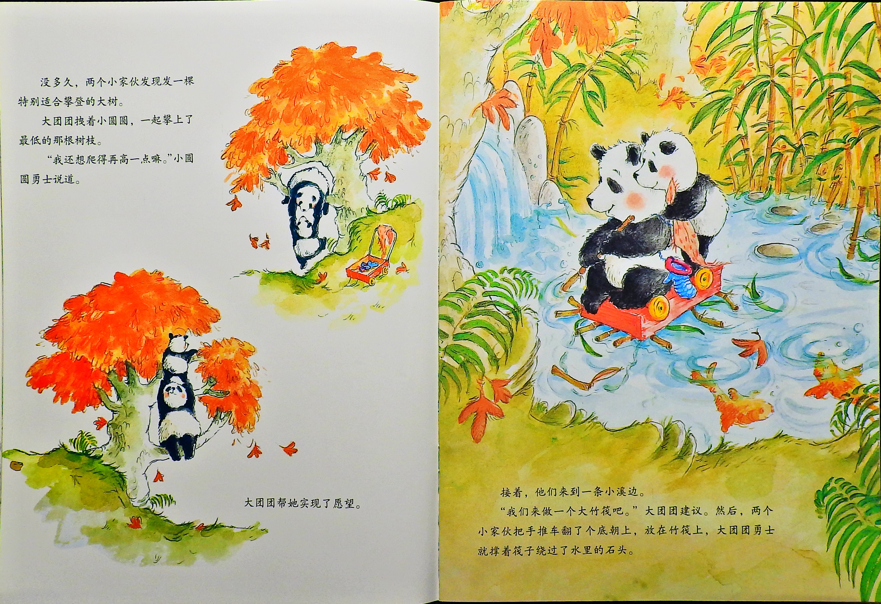 大团团和小圆圆 (06),绘本,绘本故事,绘本阅读,故事书,童书,图画书,课外阅读